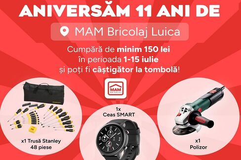 11 ani de MAMBRICOLAJ Luică