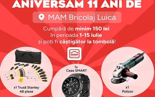 11 ani de MAMBRICOLAJ Luică