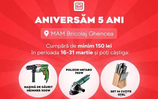 5 ani de MAMBRICOLAJ Ghencea