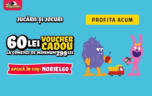 60 lei Discount la Noriel