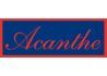 Acanthe
