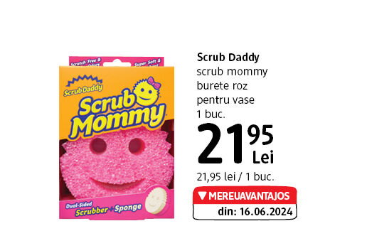 Burete de vase Scrub Daddy