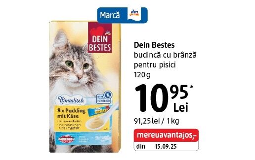 Dein Bestes budincă pisici