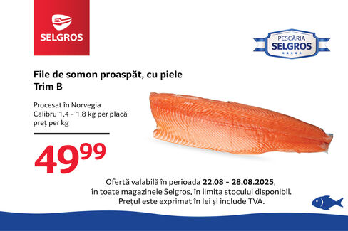 File de somon proaspăt