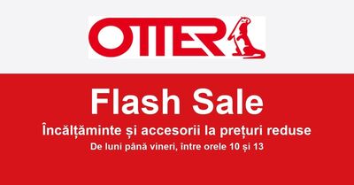 Flash Sale