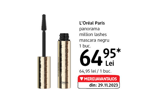 L'Oréal Paris panorama
