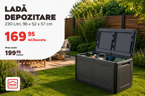 Ladă depozitare