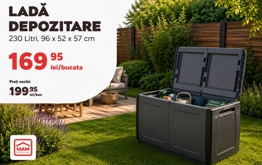 Ladă depozitare