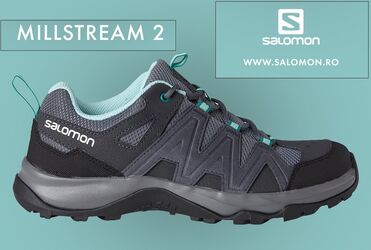 Millstream 2