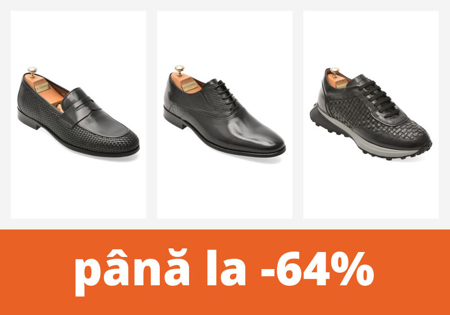 Mocasini, pantofi eleganti și papuci
