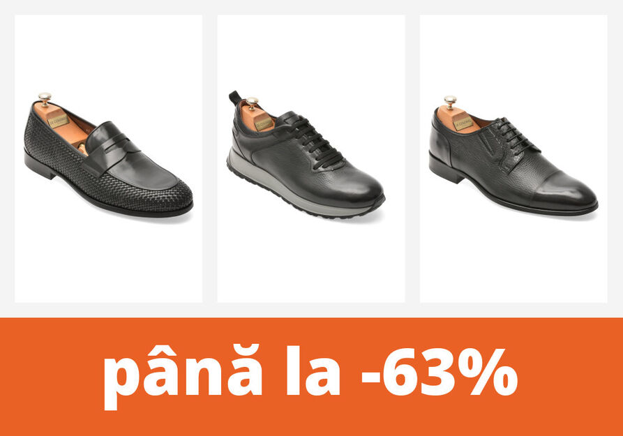 Mocasini, pantofi sport și papuci