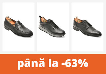 Mocasini, pantofi sport și papuci
