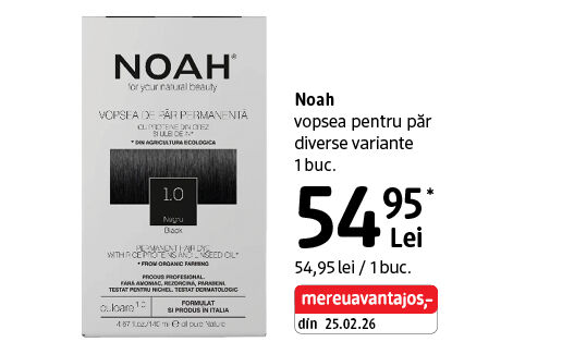Noah vopsea pentru păr