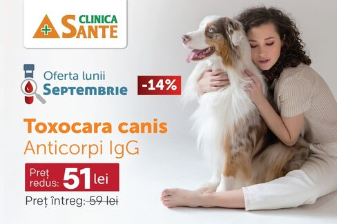 Oferta lunii septembrie