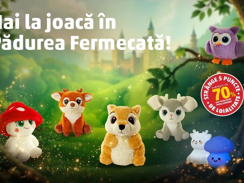 Ofertă Pădurea Fermecată - Penny