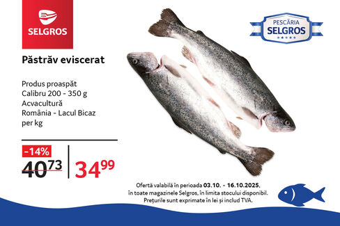 Păstrăv proaspăt eviscerat