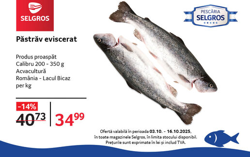 Păstrăv proaspăt eviscerat