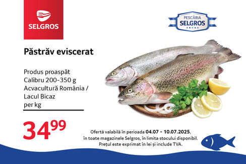 Păstrăv proaspăt eviscerat