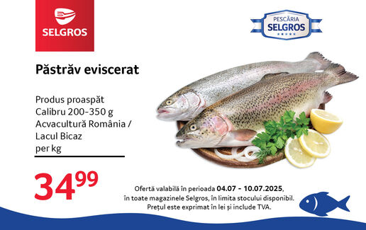 Păstrăv proaspăt eviscerat