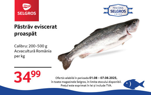 Păstrăv proaspăt eviscerat