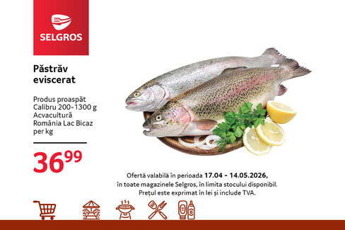 Păstrăv proaspăt eviscerat