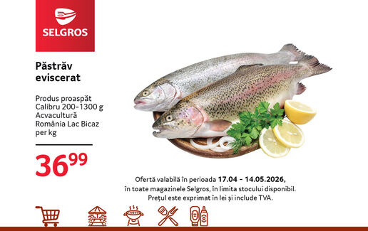 Păstrăv proaspăt eviscerat