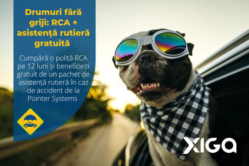 Pentru momentele care contează, sprijinul potrivit face diferența