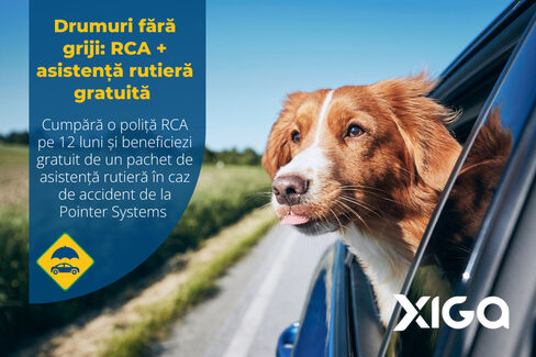 Pentru momentele care contează, sprijinul potrivit face diferența