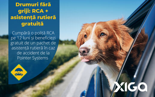 Pentru momentele care contează, sprijinul potrivit face diferența