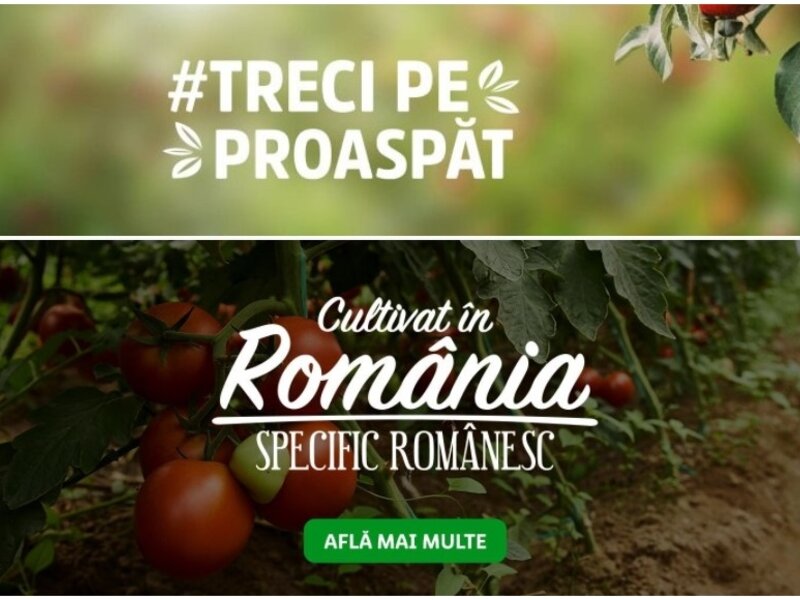 Ofertă Piața Lidl - Lidl