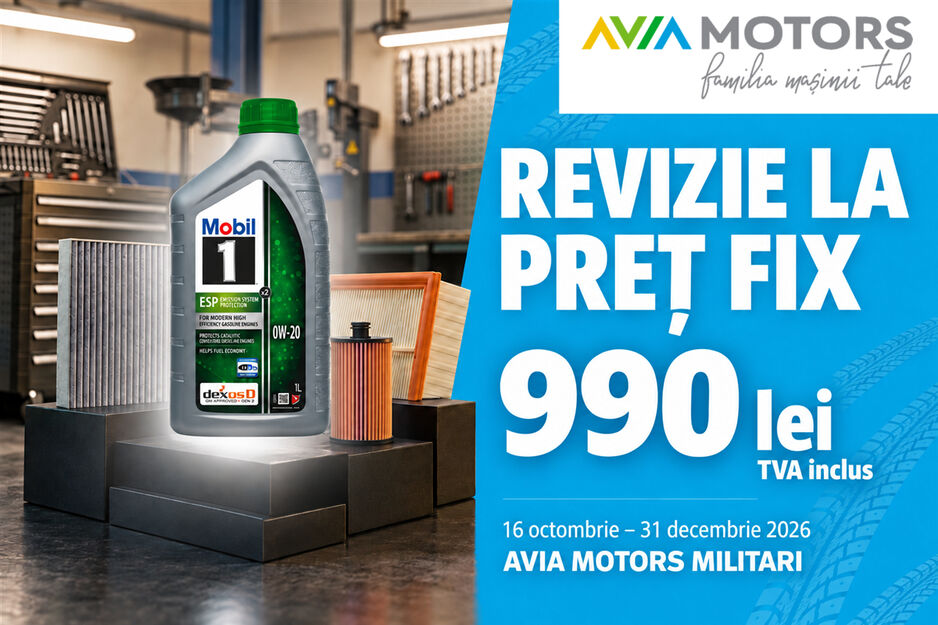 Revizie la preț fix – 990 lei, TVA inclus