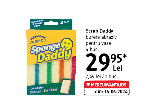 Scrub Daddy burete vase