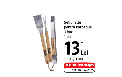 Set unelte pentru barbeque