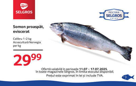 Somon eviscerat proaspăt