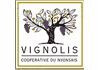 Vignolis